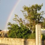 完璧な半円の綺麗な虹…しかし台風５号の被害
